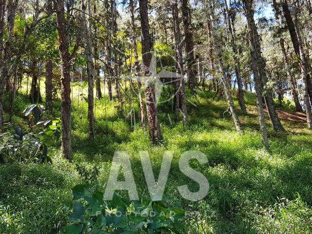 Terreno para Venta en Peñol - 5