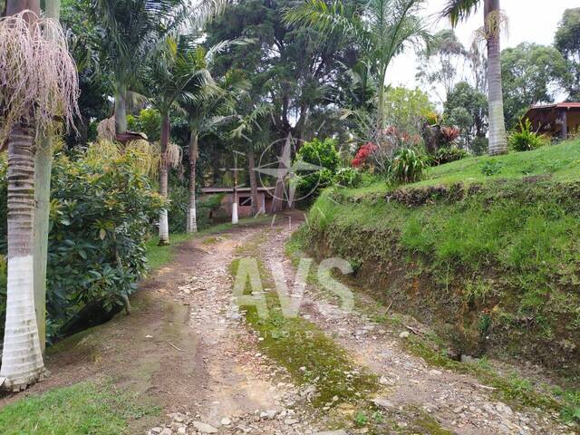 Finca para Venta en San Vicente - 4