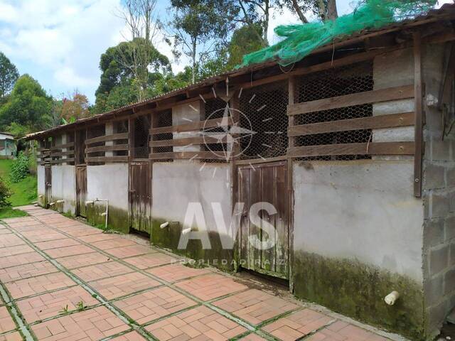 Finca para Venta en San Vicente - 5