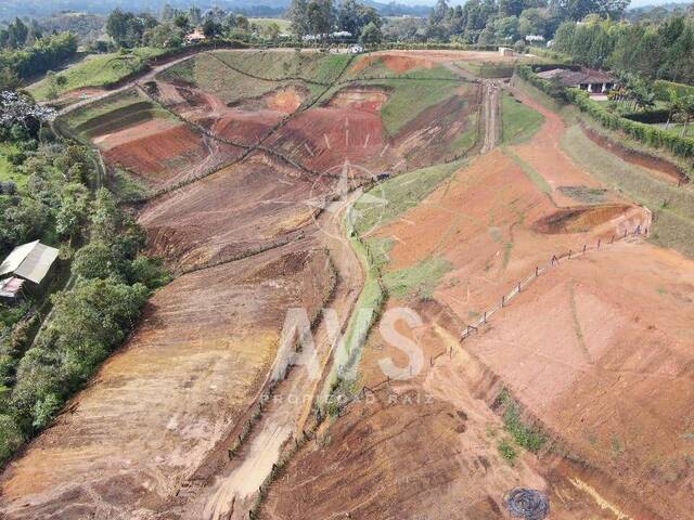 Terreno para Venta en Carmen de Viboral - 4