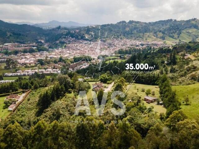 Apartamento para Venta en Retiro - 3