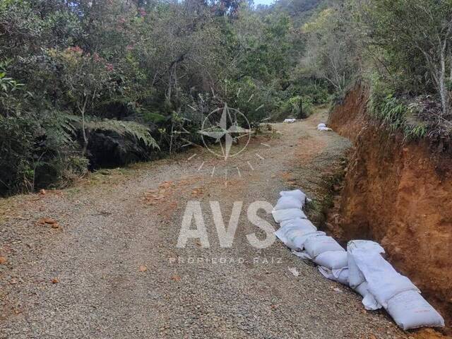 #3731 - Terreno para Venta en Medellín - ANT - 3