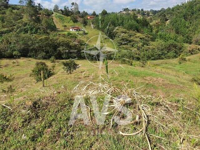 Terreno para Venta en Rionegro - 2