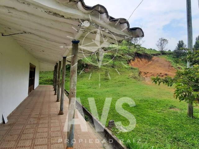 Terreno para Venta en Rionegro - 3