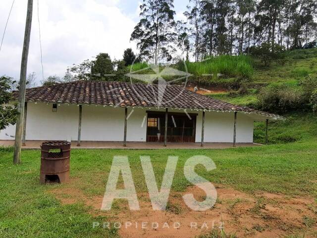 Terreno para Venta en Rionegro - 4