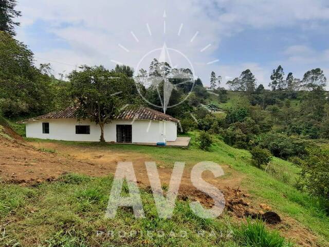 Terreno para Venta en Rionegro - 5