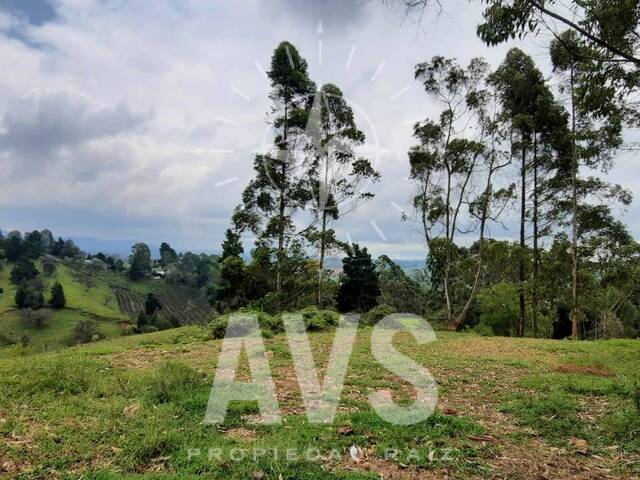 Terreno para Venta en Rionegro - 3