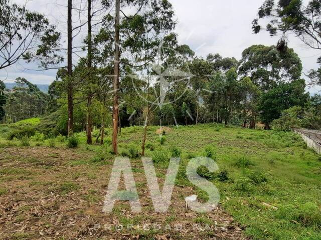 Terreno para Venta en Rionegro - 4