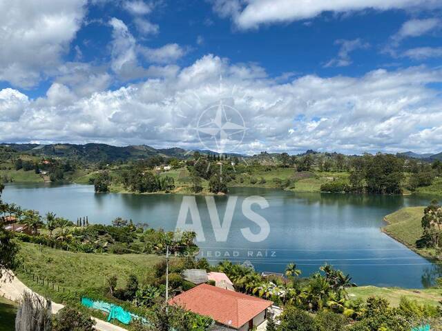 Terreno para Venta en Peñol - 4
