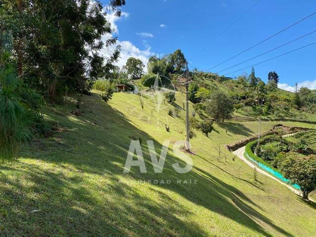 Terreno para Venta en Peñol - 5