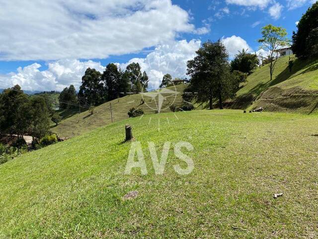 #4207 - Terreno para Venta en Peñol - ANT - 1