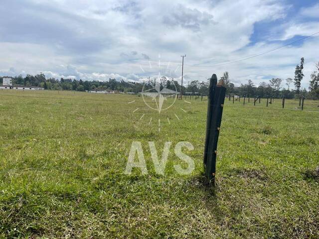 Terreno para Venta en Rionegro - 3