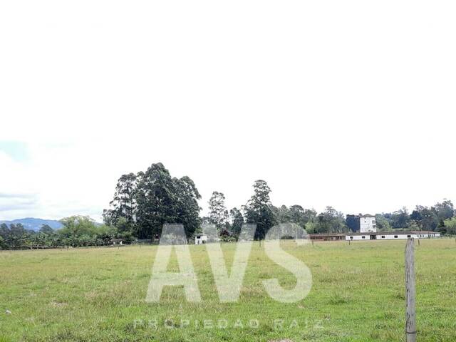 Terreno para Venta en Rionegro - 4