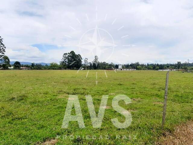 Terreno para Venta en Rionegro - 5