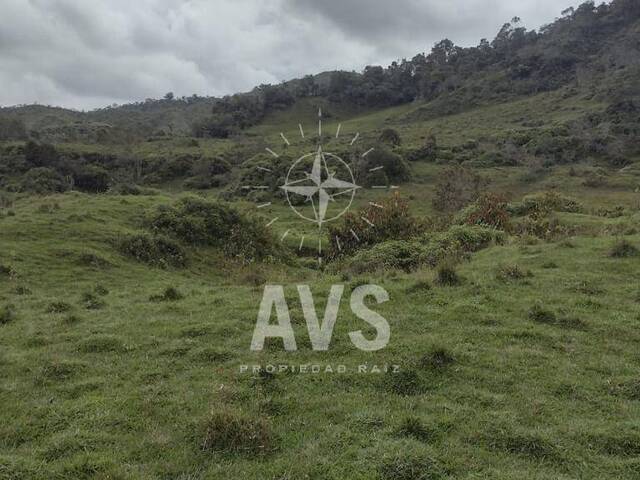 #4233 - Finca para Venta en Concepción - ANT - 1