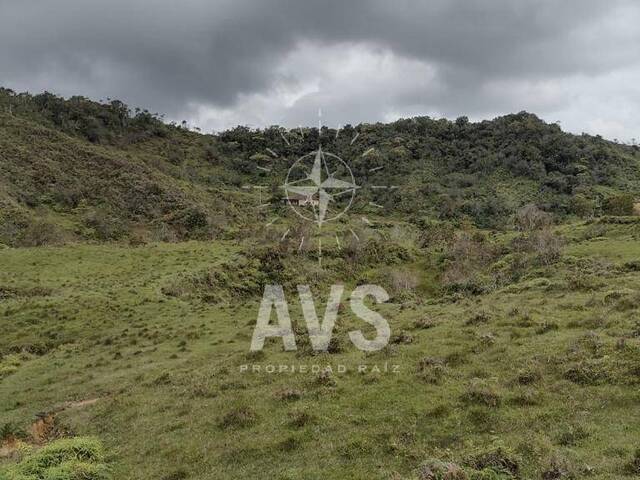 #4233 - Finca para Venta en Concepción - ANT - 3