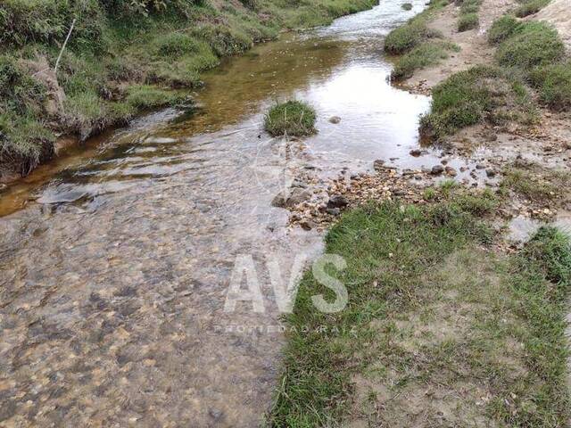 Finca para Venta en Concepción - 5