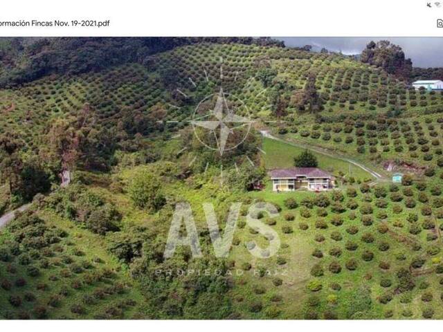 #4234 - Finca para Venta en Urrao - ANT - 2