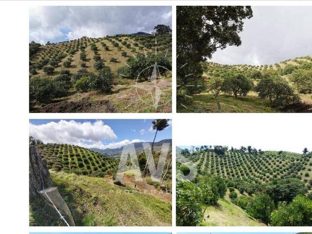 #4234 - Finca para Venta en Urrao - ANT - 1