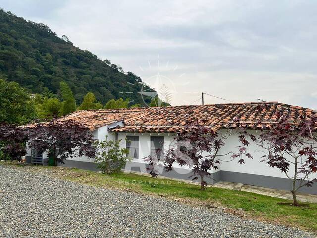 Finca para Venta en Tarso - 5
