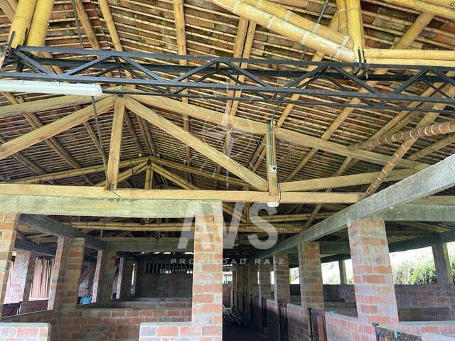 Terreno para Venta en Tarso - 4