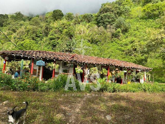 #4262 - Finca para Venta en Tarso - ANT - 1