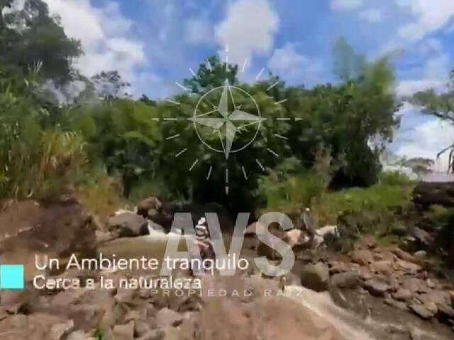 Terreno para Venta en Venecia - 4