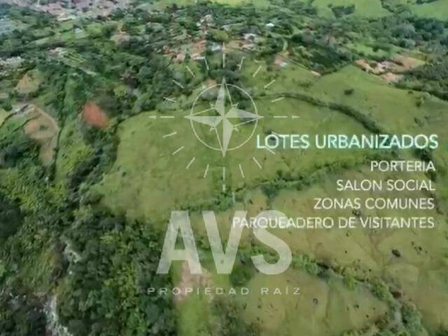 Terreno para Venta en Venecia - 5