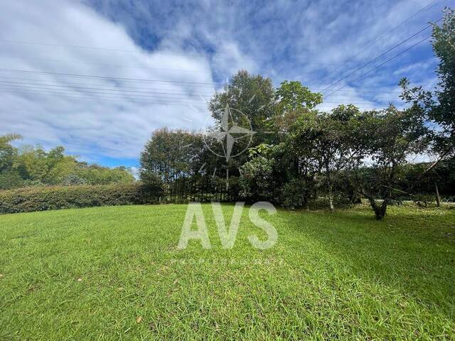 Terreno para Venta en Rionegro - 5