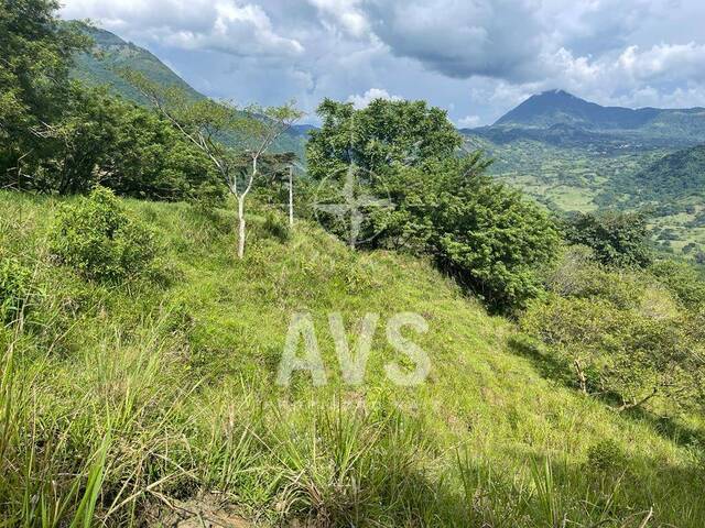 Terreno para Venta en Amagá - 4