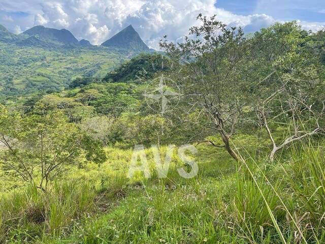 #4281 - Terreno para Venta en Amagá - ANT - 1