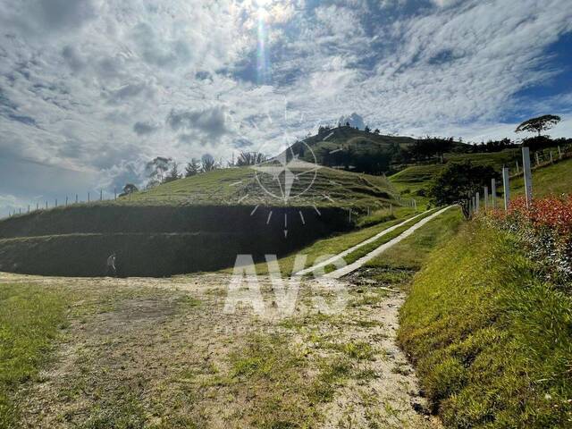 Terreno para Venta en Peñol - 4