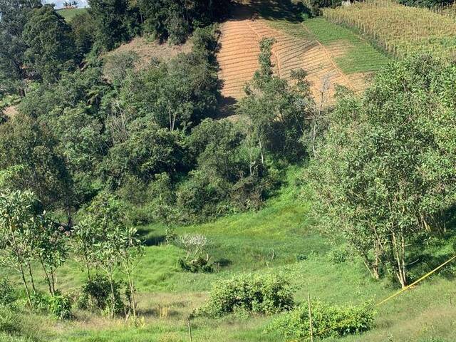 Terreno para Venta en Marinilla - 4