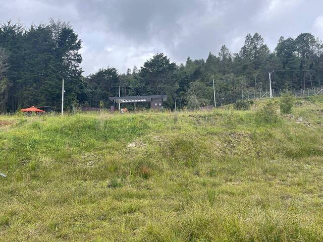 #1885 - Terreno para Venta en Envigado - ANT - 1