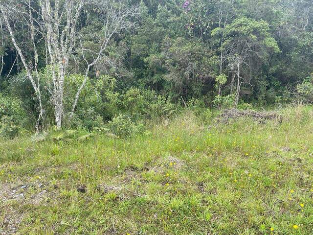 Terreno para Venta en Envigado - 4