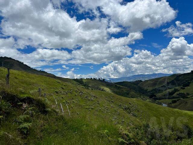 Terreno para Venta en La Ceja - 4