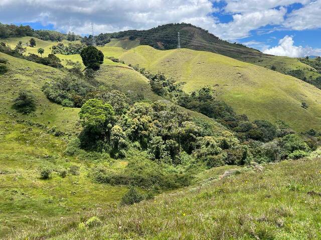 Terreno para Venta en La Ceja - 5