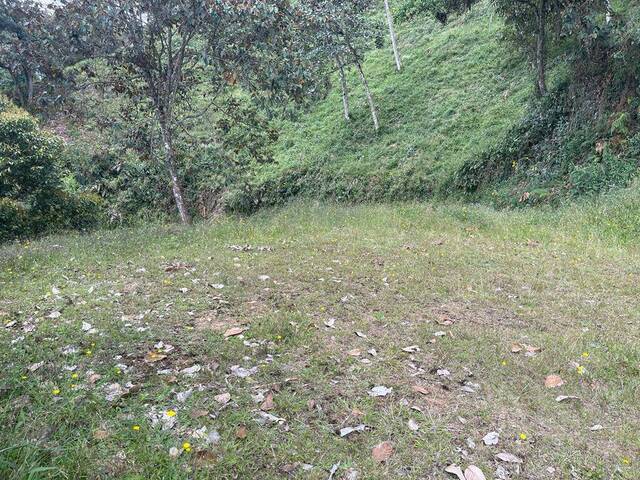 Terreno para Venta en Retiro - 5