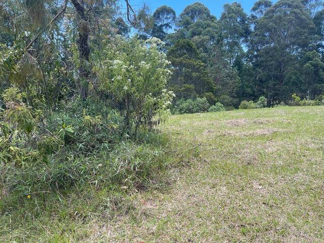 Terreno para Venta en Rionegro - 3