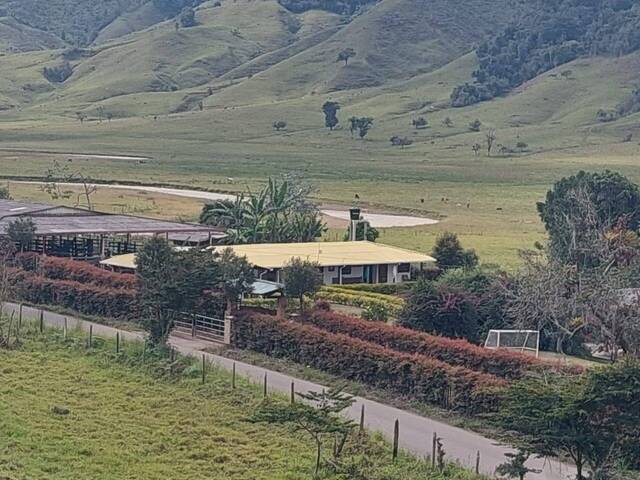 Finca para Venta en Urrao - 4