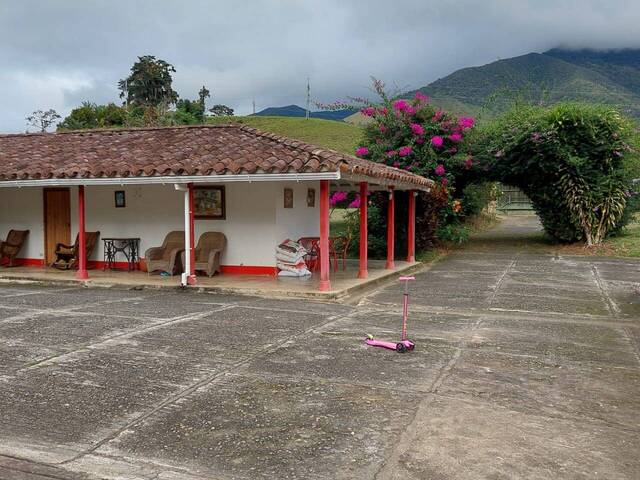Finca para Venta en Urrao - 5