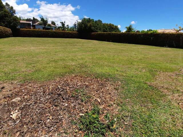 #4371 - Terreno para Venta en Rionegro - ANT - 2