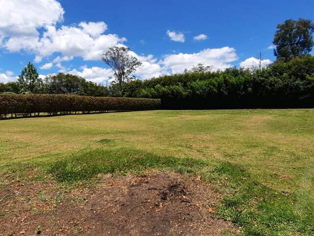 Terreno para Venta en Rionegro - 4