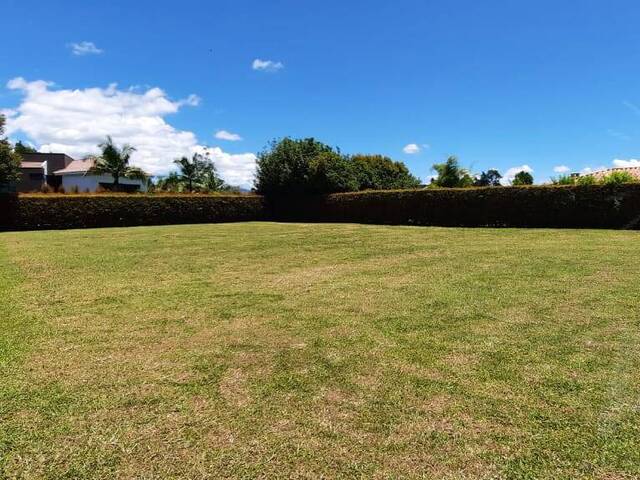 Terreno para Venta en Rionegro - 5