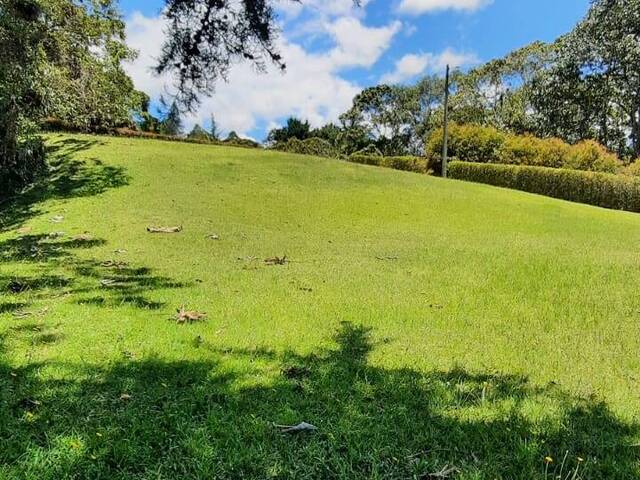 #4320 - Terreno para Venta en Rionegro - ANT