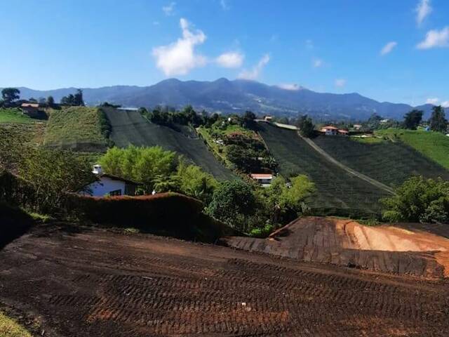 Terreno para Venta en Carmen de Viboral - 4