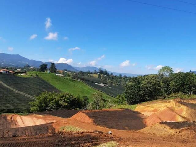 Terreno para Venta en Carmen de Viboral - 5