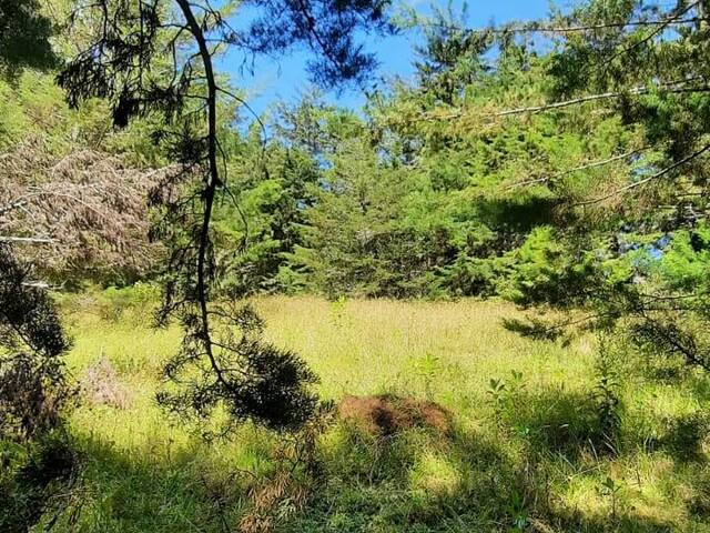 Venta en Sector Quirama - Carmen de Viboral