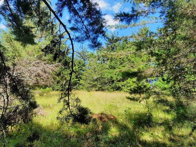 Terreno para Venta en Carmen de Viboral - 5