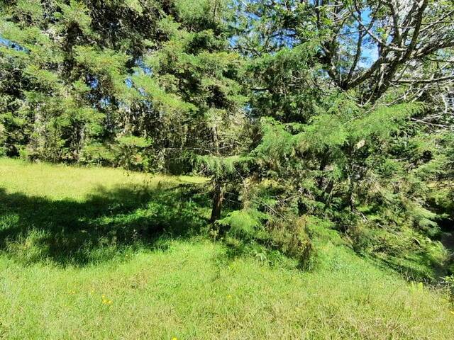 #4357 - Terreno para Venta en Carmen de Viboral - ANT - 2